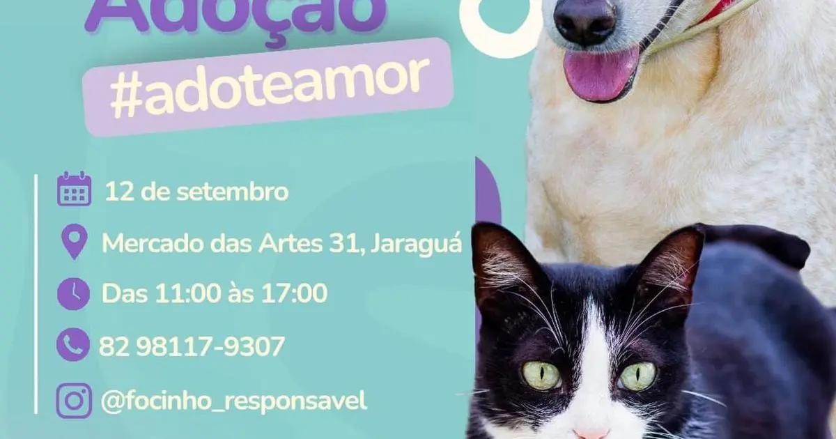Feira de adoção de cães e gatos acontece neste sábado (12), no bairro de Jaraguá